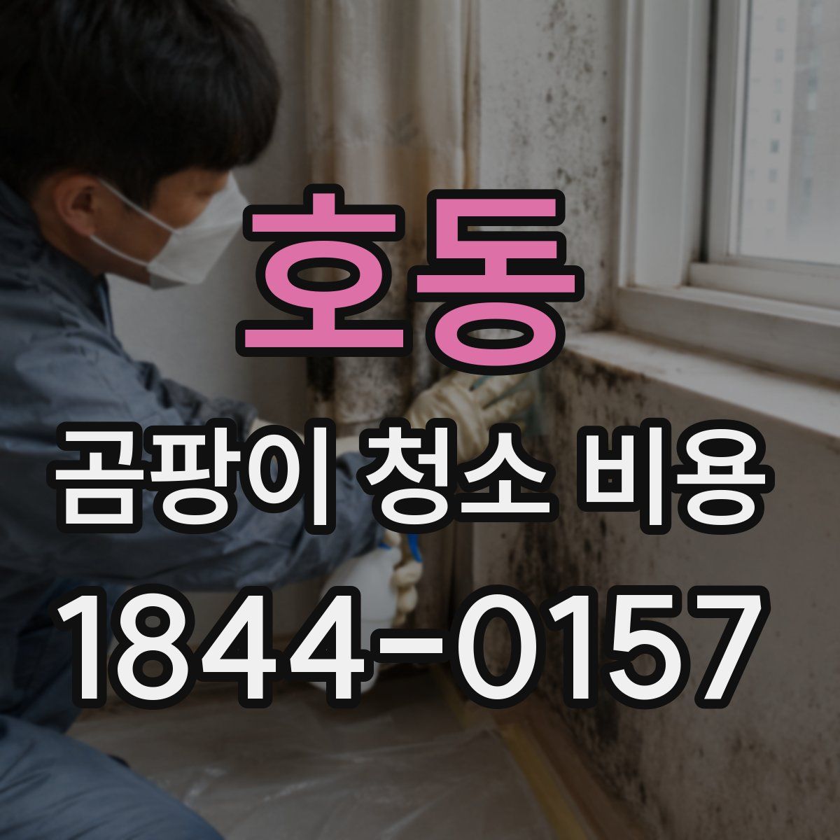 호동 곰팡이 청소 비용