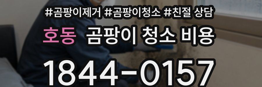 호동 곰팡이 청소 비용