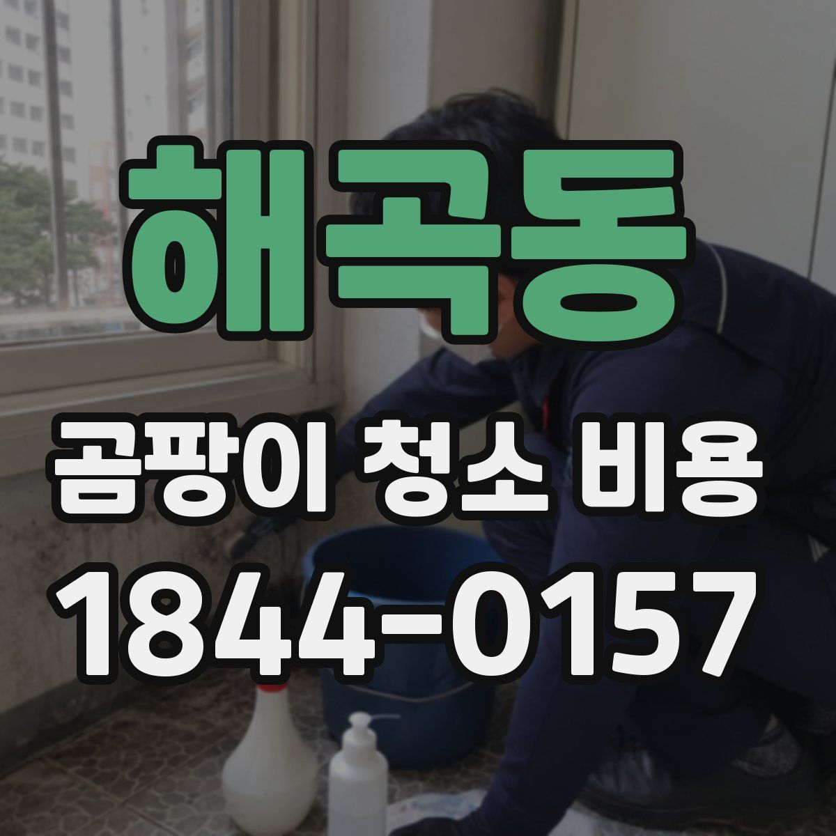 해곡동 곰팡이 청소 비용