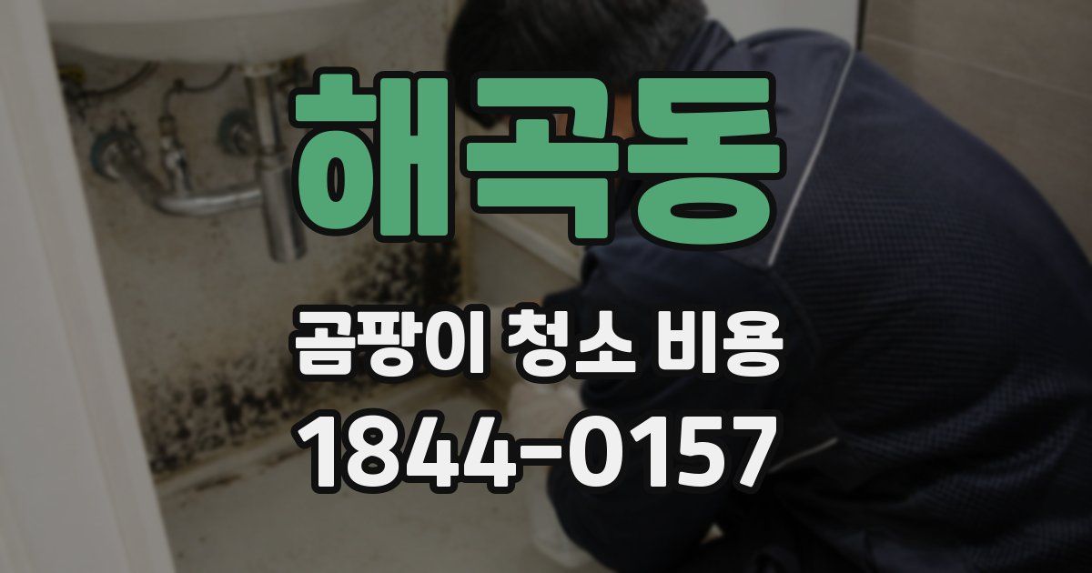 해곡동 곰팡이 청소 비용