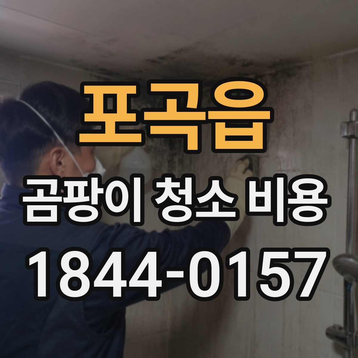 포곡읍 곰팡이 청소 비용