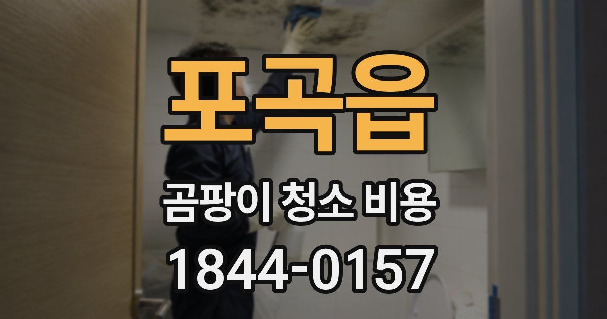 포곡읍 곰팡이 청소 비용