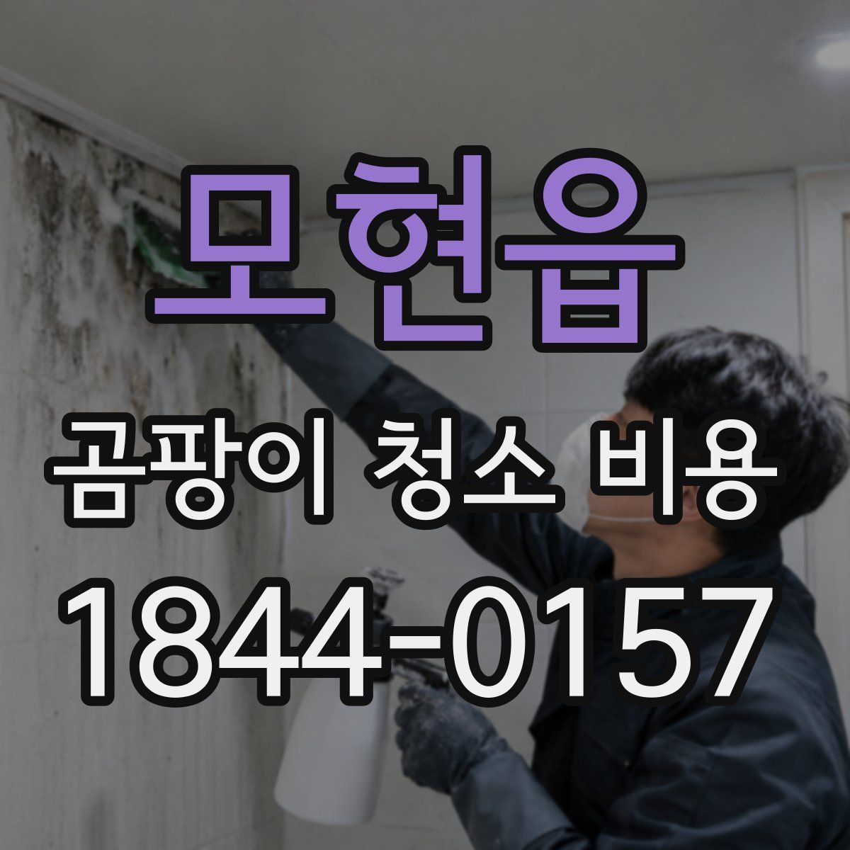 모현읍 곰팡이 청소 비용