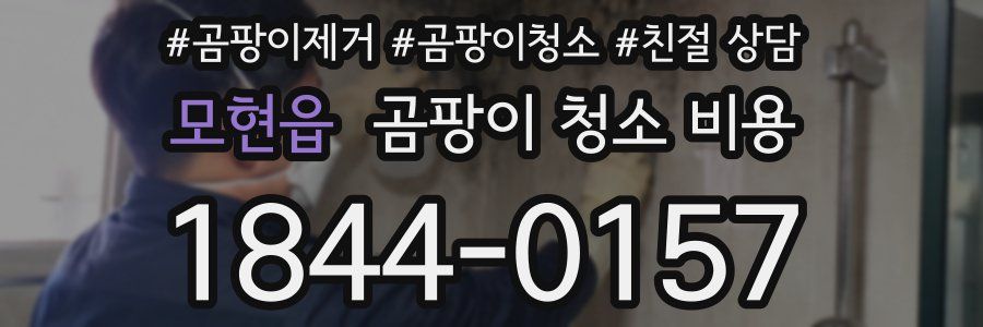 모현읍 곰팡이 청소 비용