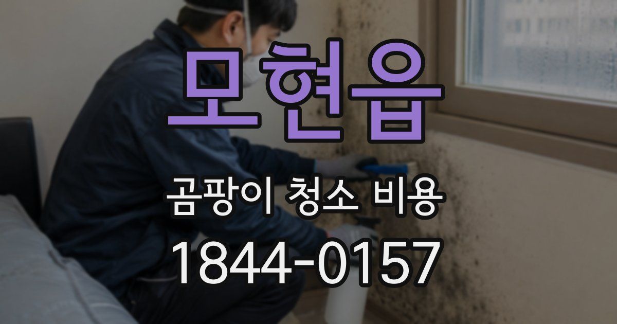 모현읍 곰팡이 청소 비용