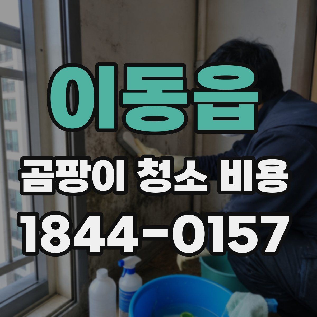 이동읍 곰팡이 청소 비용 상담 전에 알고 있으면 좋은 절차