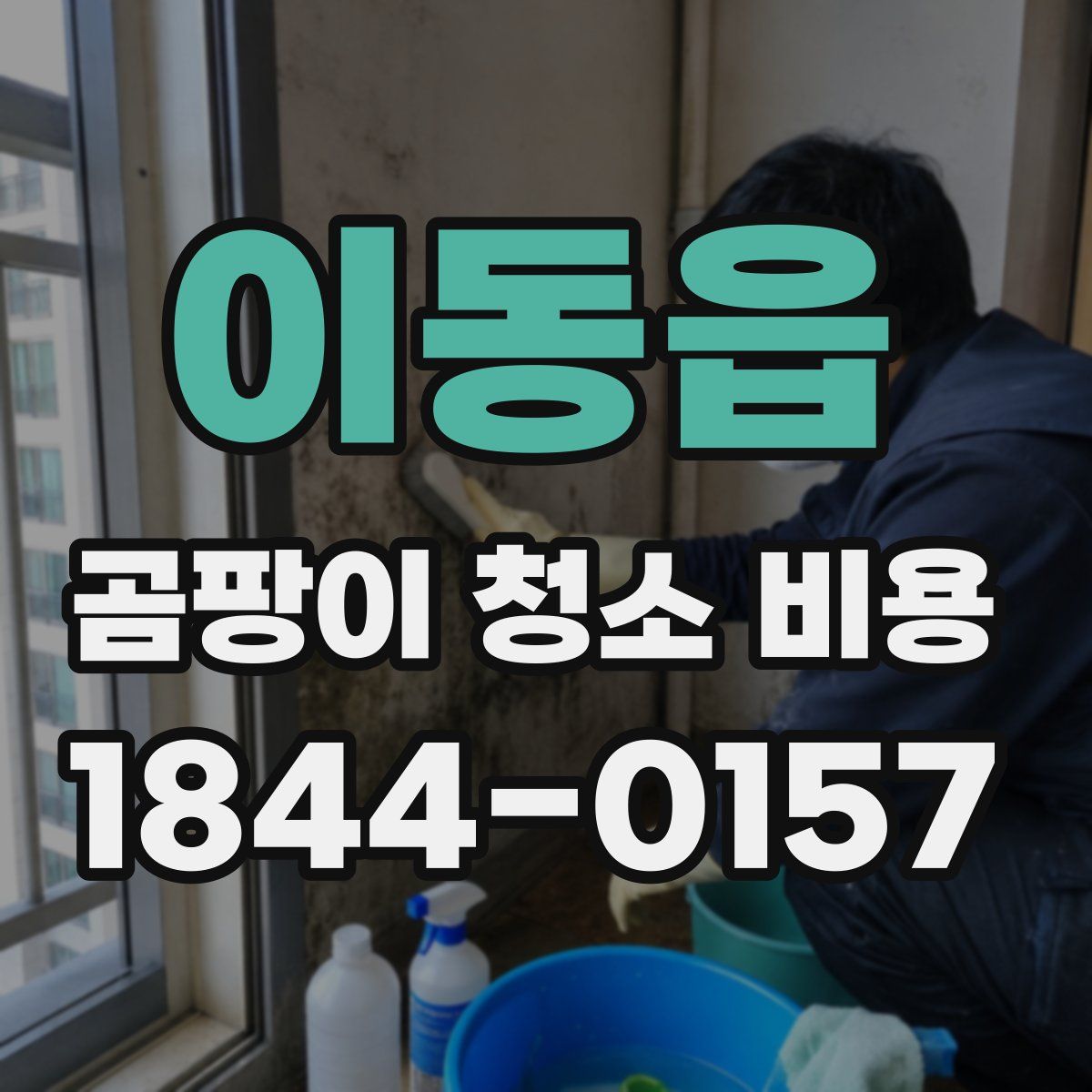 이동읍 곰팡이 청소 비용