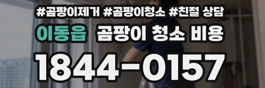 이동읍 곰팡이 청소 비용