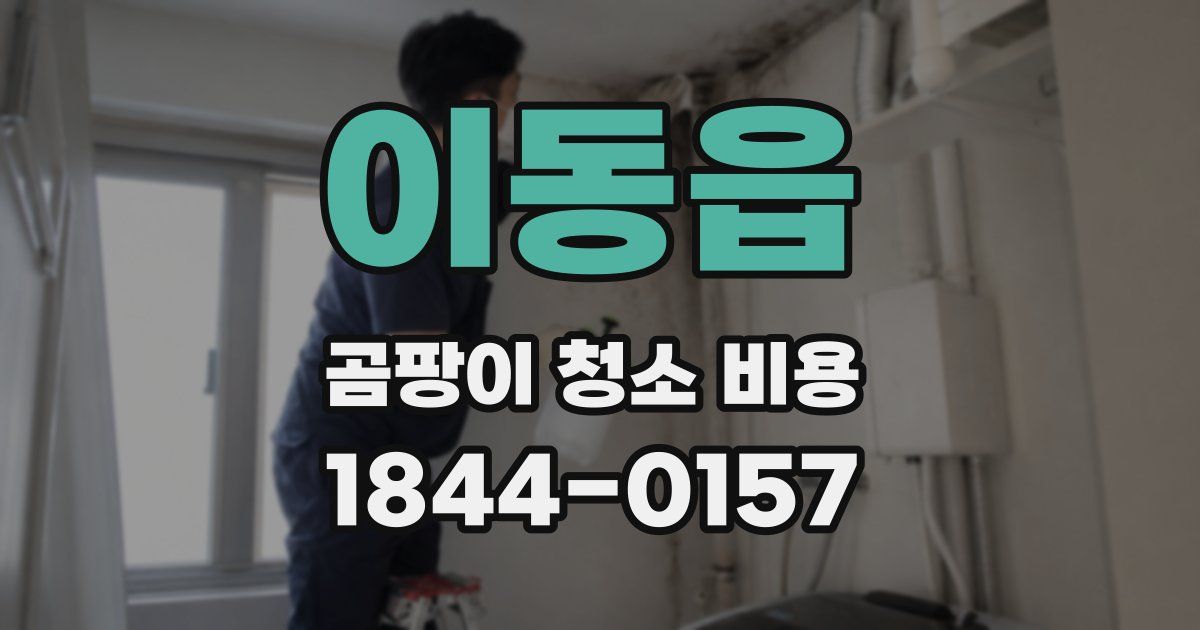 이동읍 곰팡이 청소 비용