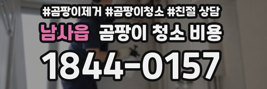 남사읍 곰팡이 청소 비용