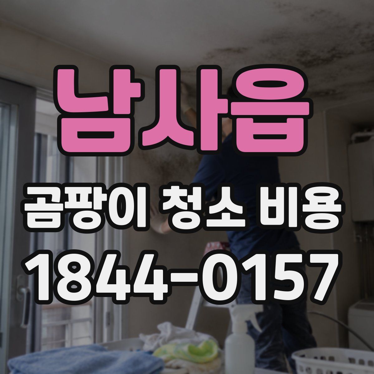 남사읍 곰팡이 청소 비용