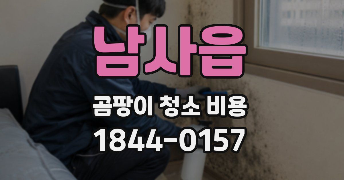 남사읍 곰팡이 청소 비용