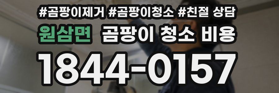 원삼면 곰팡이 청소 비용