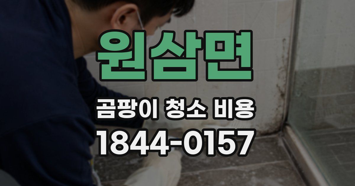 원삼면 곰팡이 청소 비용