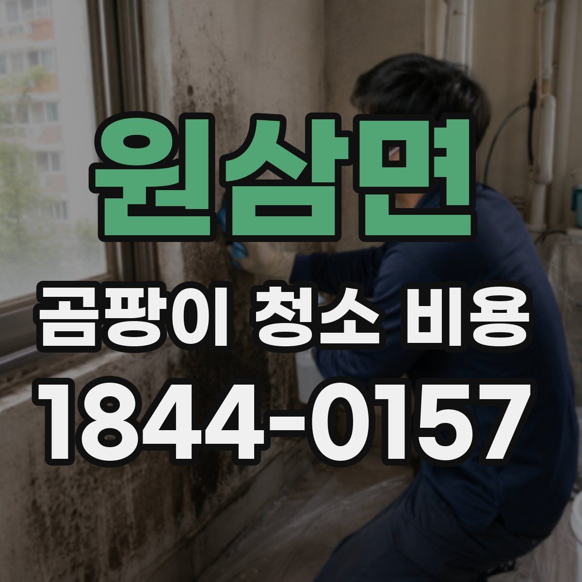 원삼면 곰팡이 청소 비용