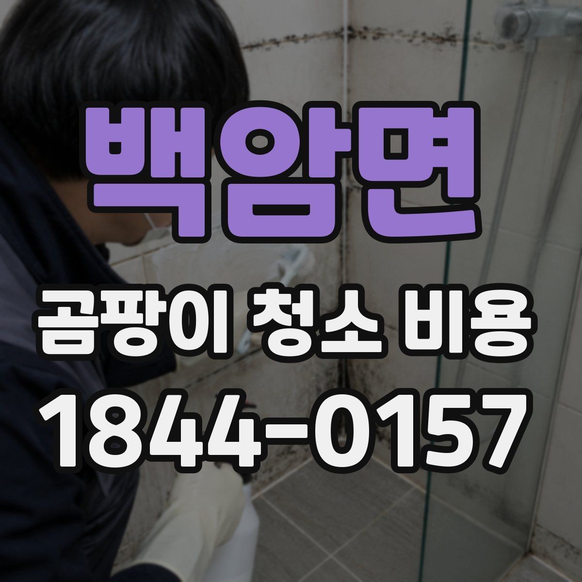 백암면 곰팡이 청소 비용 상담 전 확인해야 할 항목