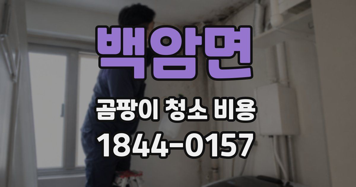 백암면 곰팡이 청소 비용