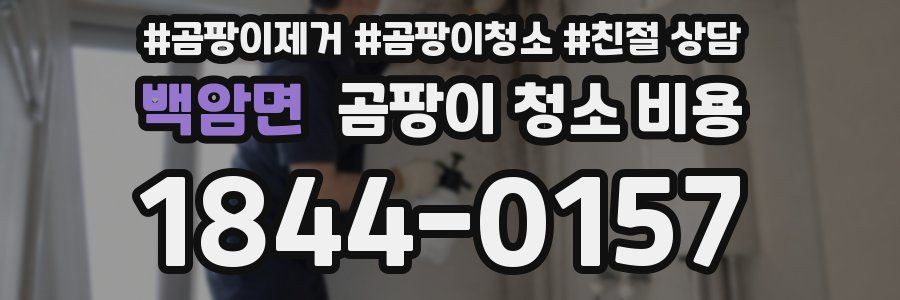 백암면 곰팡이 청소 비용