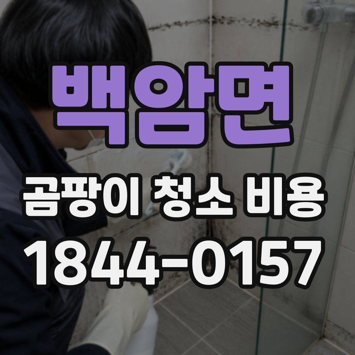 백암면 곰팡이 청소 비용