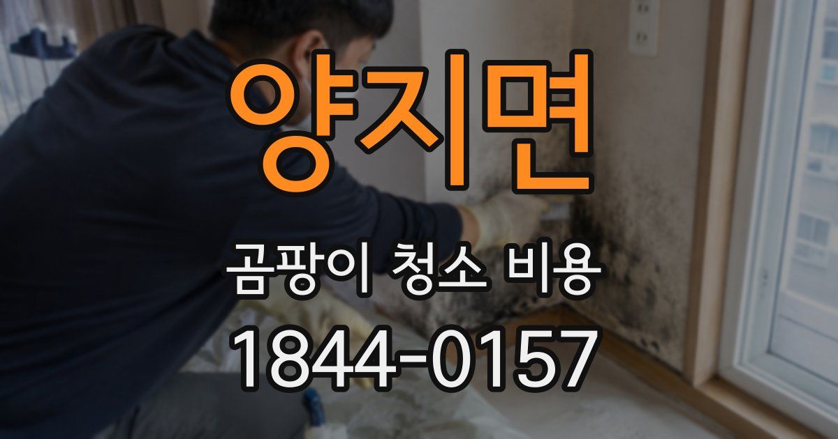 양지면 곰팡이 청소 비용