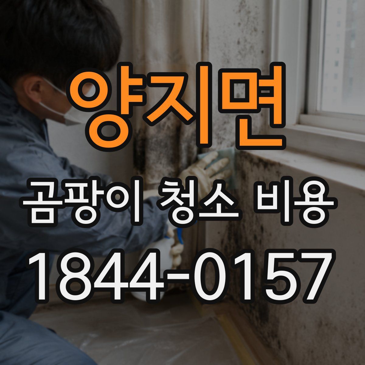 양지면 곰팡이 청소 비용