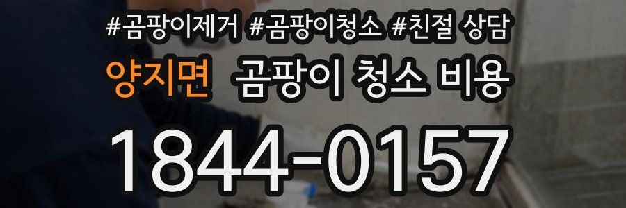양지면 곰팡이 청소 비용