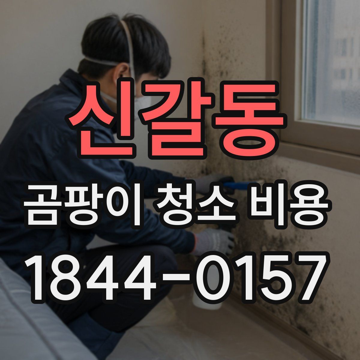 신갈동 곰팡이 청소 비용