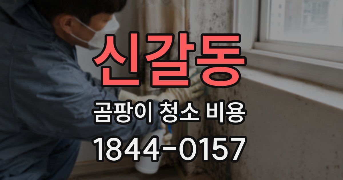 신갈동 곰팡이 청소 비용