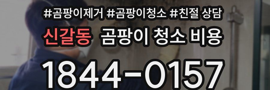 신갈동 곰팡이 청소 비용