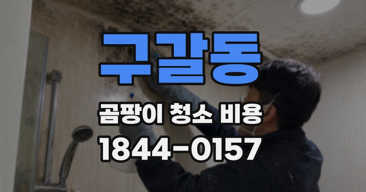 구갈동 곰팡이 청소 비용