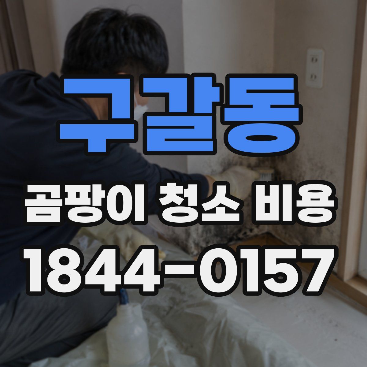 구갈동 곰팡이 청소 비용