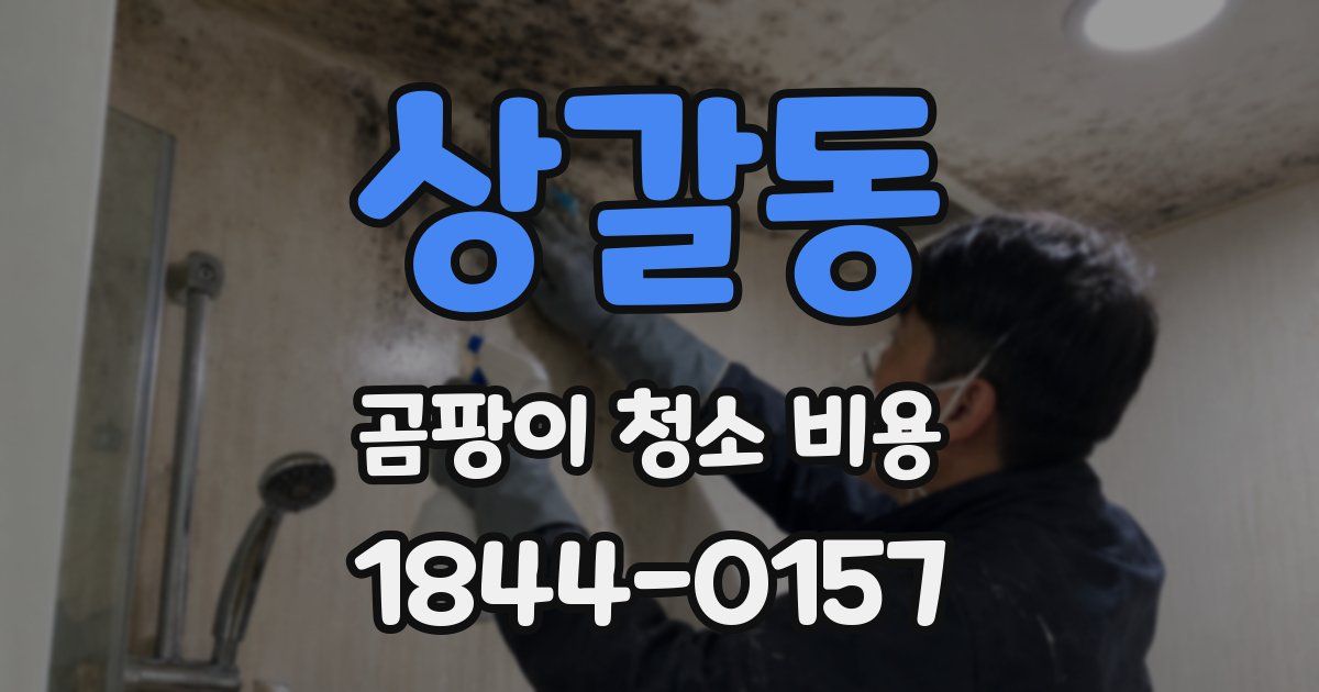 상갈동 곰팡이 청소 비용