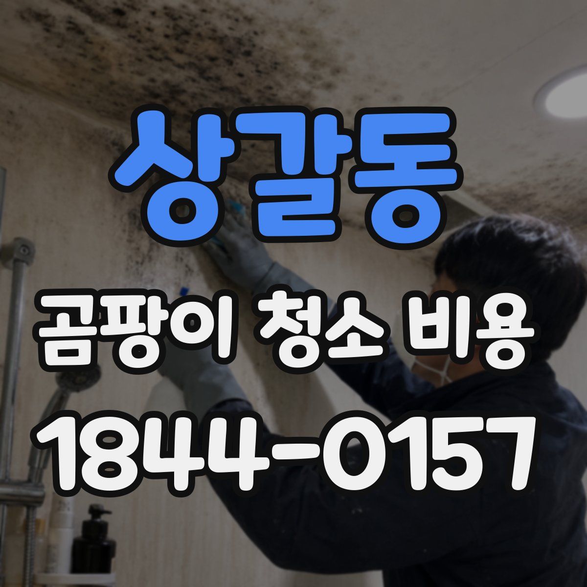 상갈동 곰팡이 청소 비용