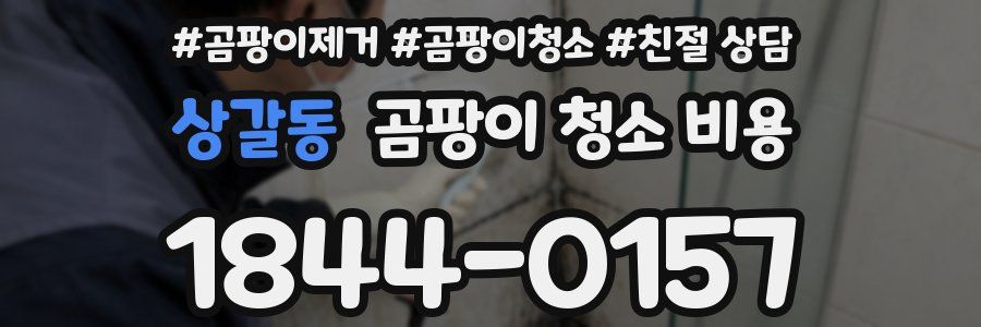 상갈동 곰팡이 청소 비용