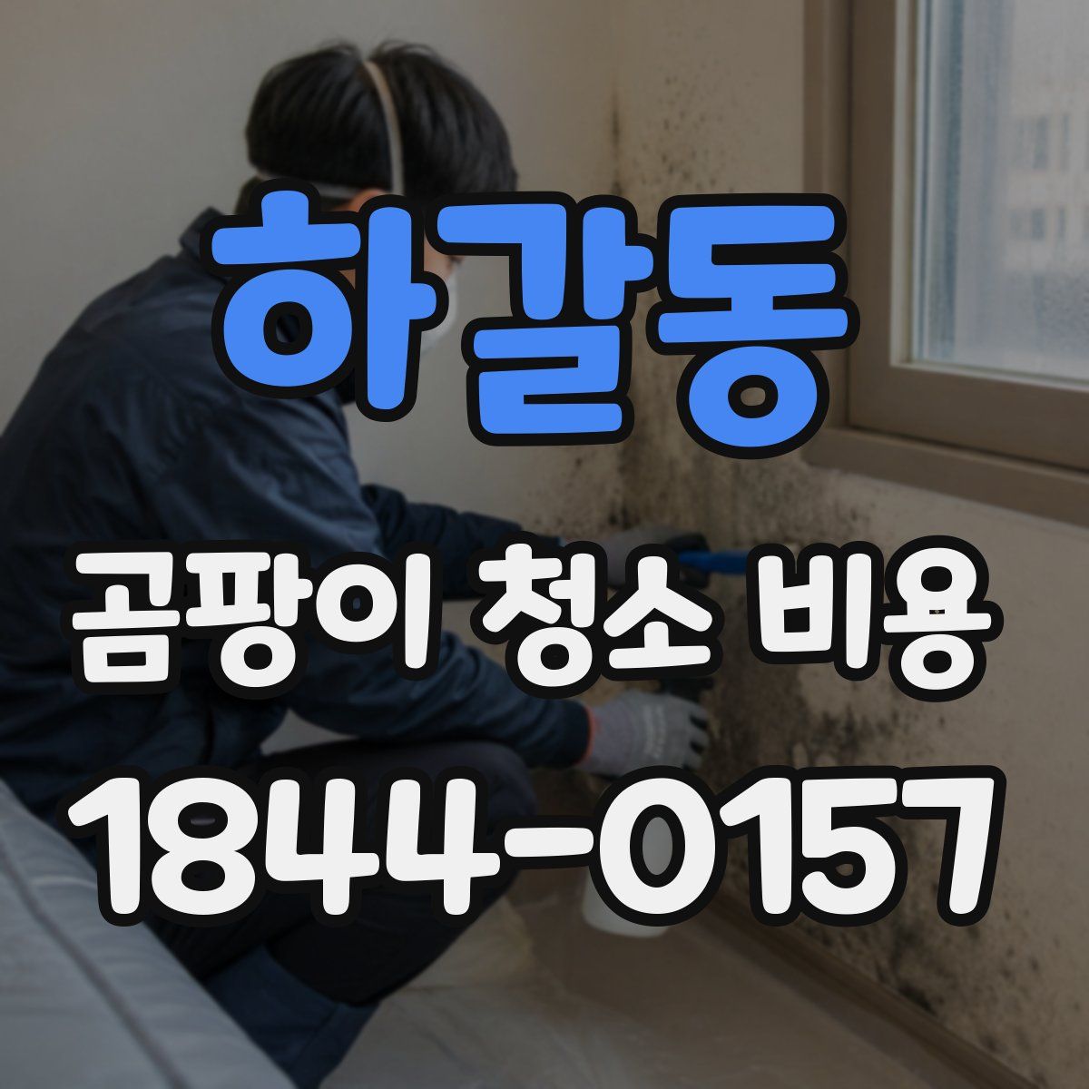 하갈동 곰팡이 청소 비용