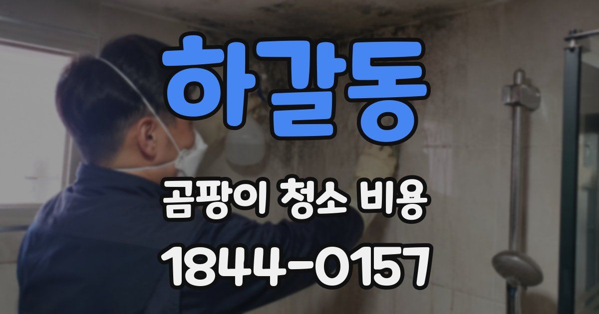 하갈동 곰팡이 청소 비용