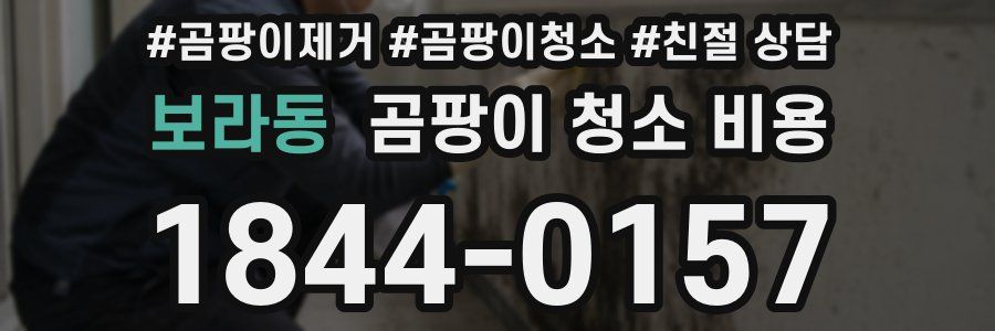 보라동 곰팡이 청소 비용