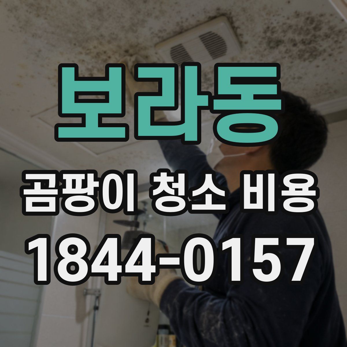 보라동 곰팡이 청소 비용