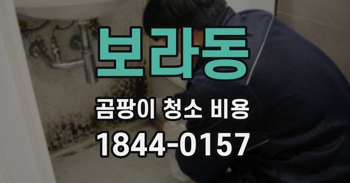 보라동 곰팡이 청소 비용