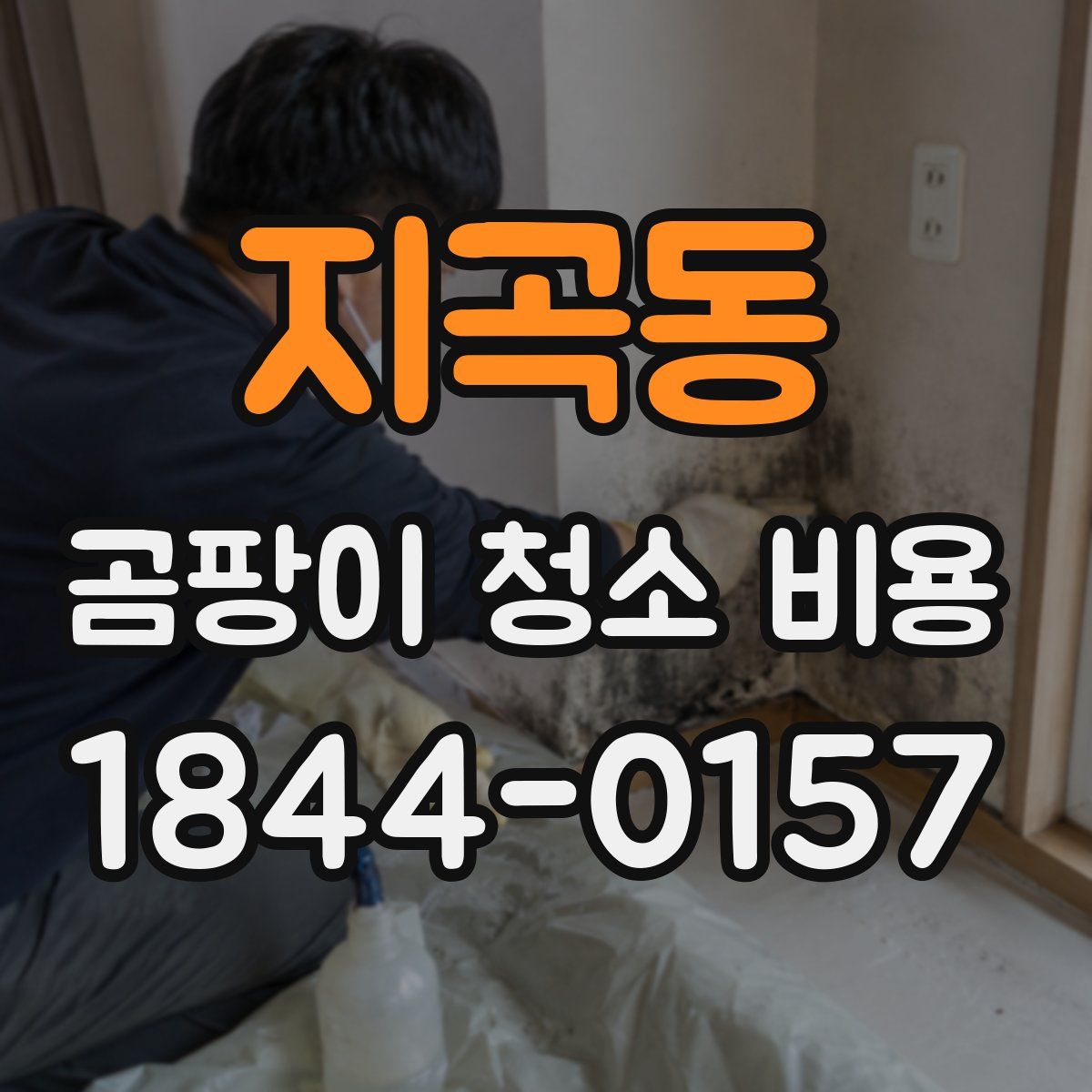지곡동 곰팡이 청소 비용