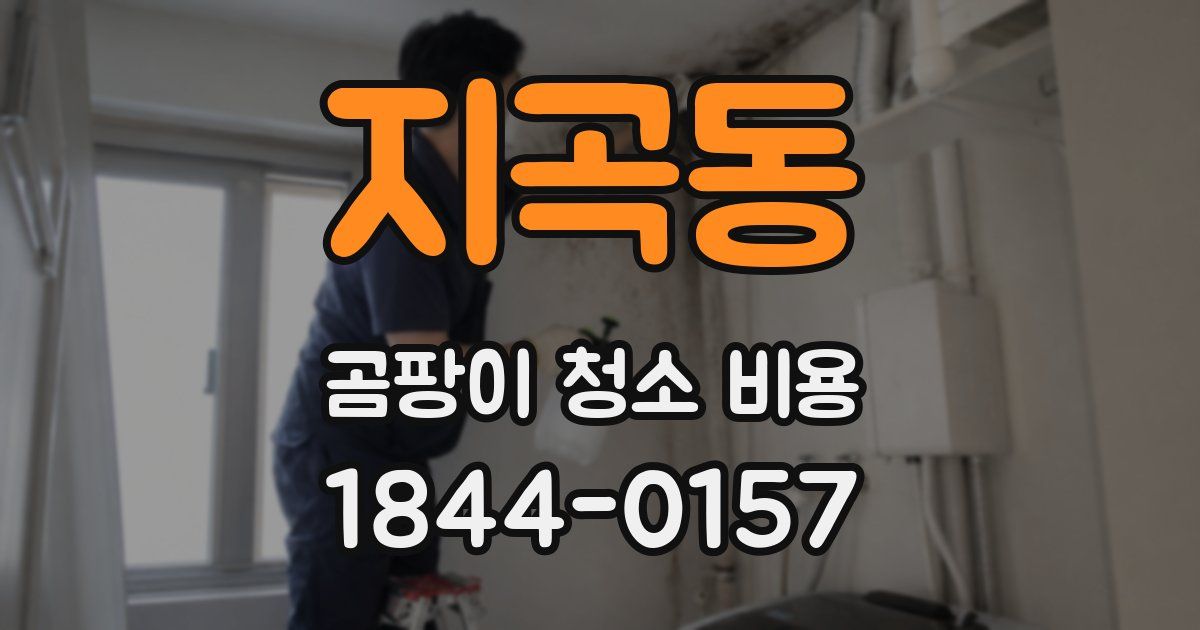 지곡동 곰팡이 청소 비용