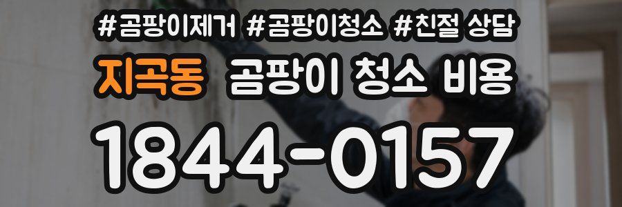 지곡동 곰팡이 청소 비용