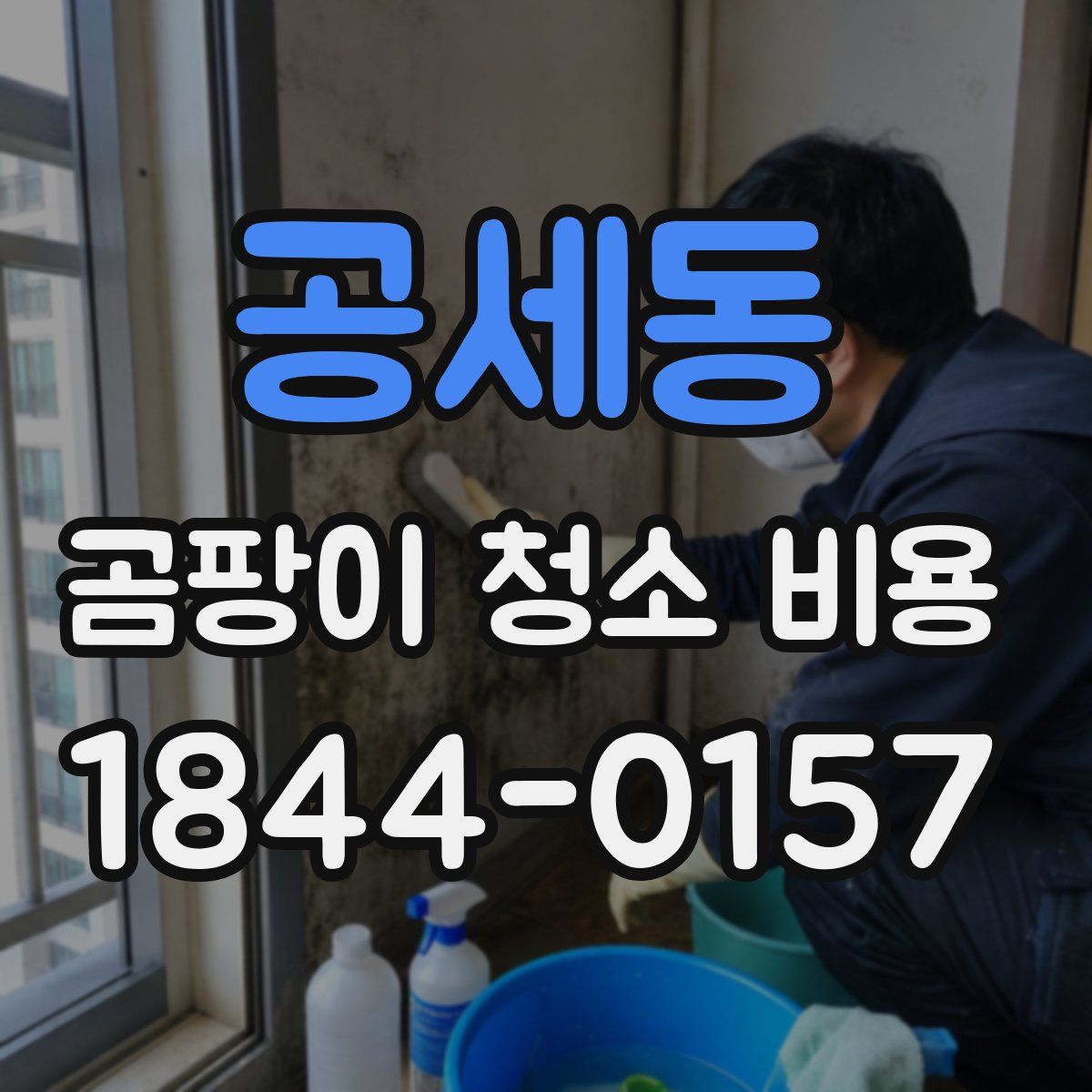 공세동 곰팡이 청소 비용