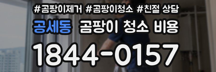 공세동 곰팡이 청소 비용