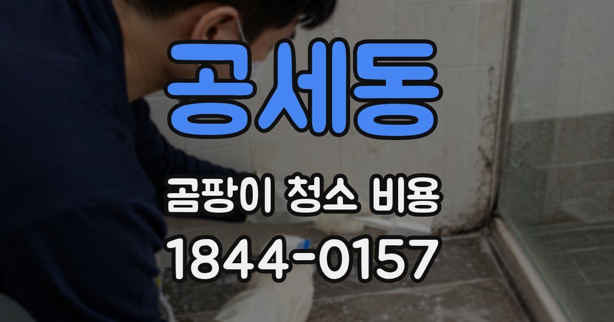 공세동 곰팡이 청소 비용