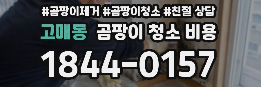고매동 곰팡이 청소 비용
