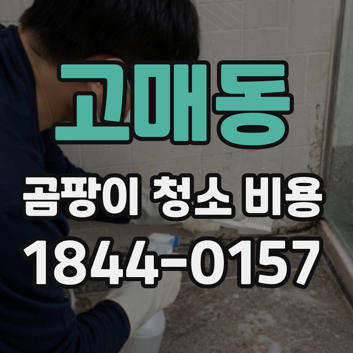 고매동 곰팡이 청소 비용