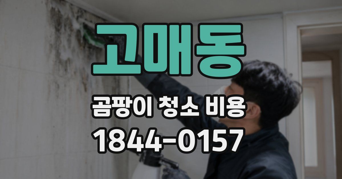 고매동 곰팡이 청소 비용