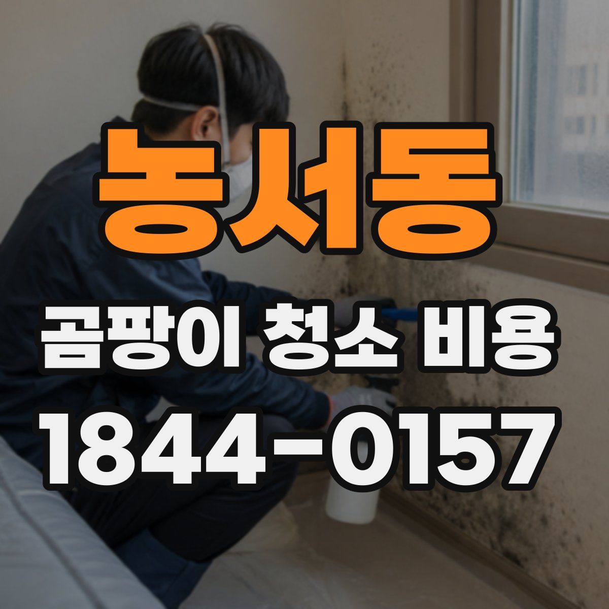 농서동 곰팡이 청소 비용
