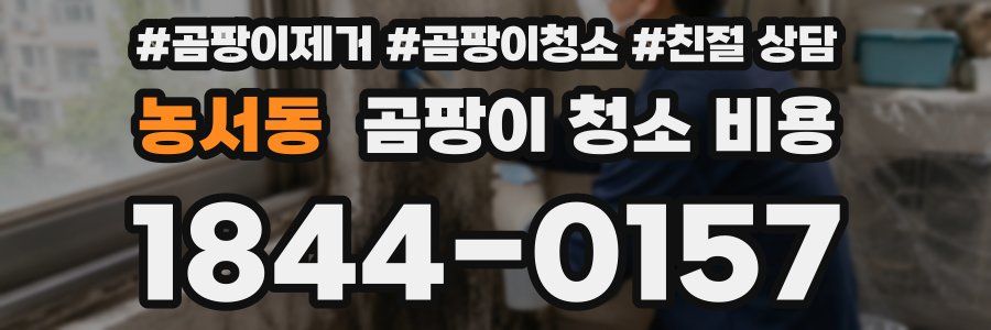 농서동 곰팡이 청소 비용